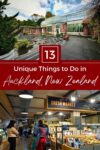 Top: Exterior view of a glass conservatory surrounded by gardens. Bottom: Interior of a busy market with various stalls and shoppers. Text: "13 Unique Things to Do in Auckland, New Zealand".