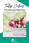 A box of colorful tulips.