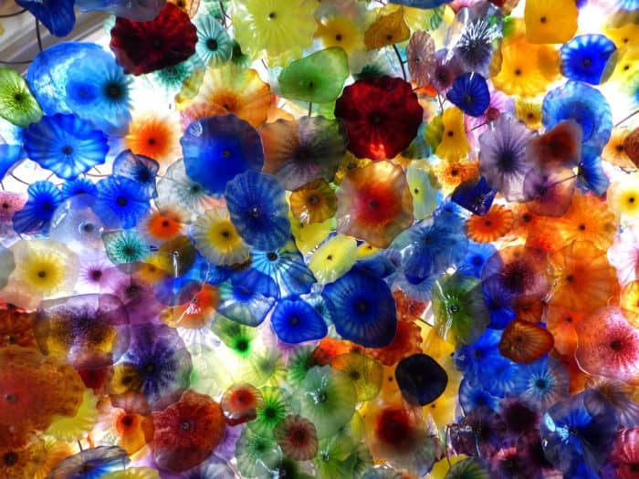 5 Important Things to Know Before Visiting a Chihuly Exhibit