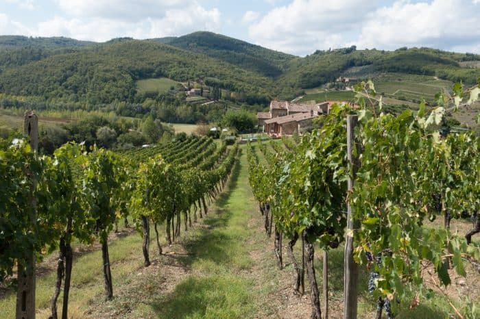 Dress Appropriately for your day of wine tasting