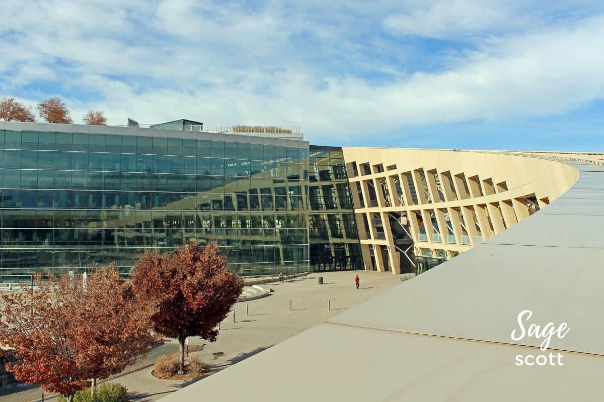 Walking Down Curved Library Wall