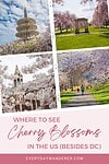 A collage of photos of a park and a man walking.