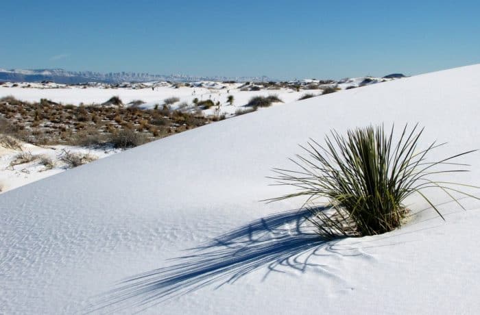 What to Pack When You Visit White Sands (All the Essentials)