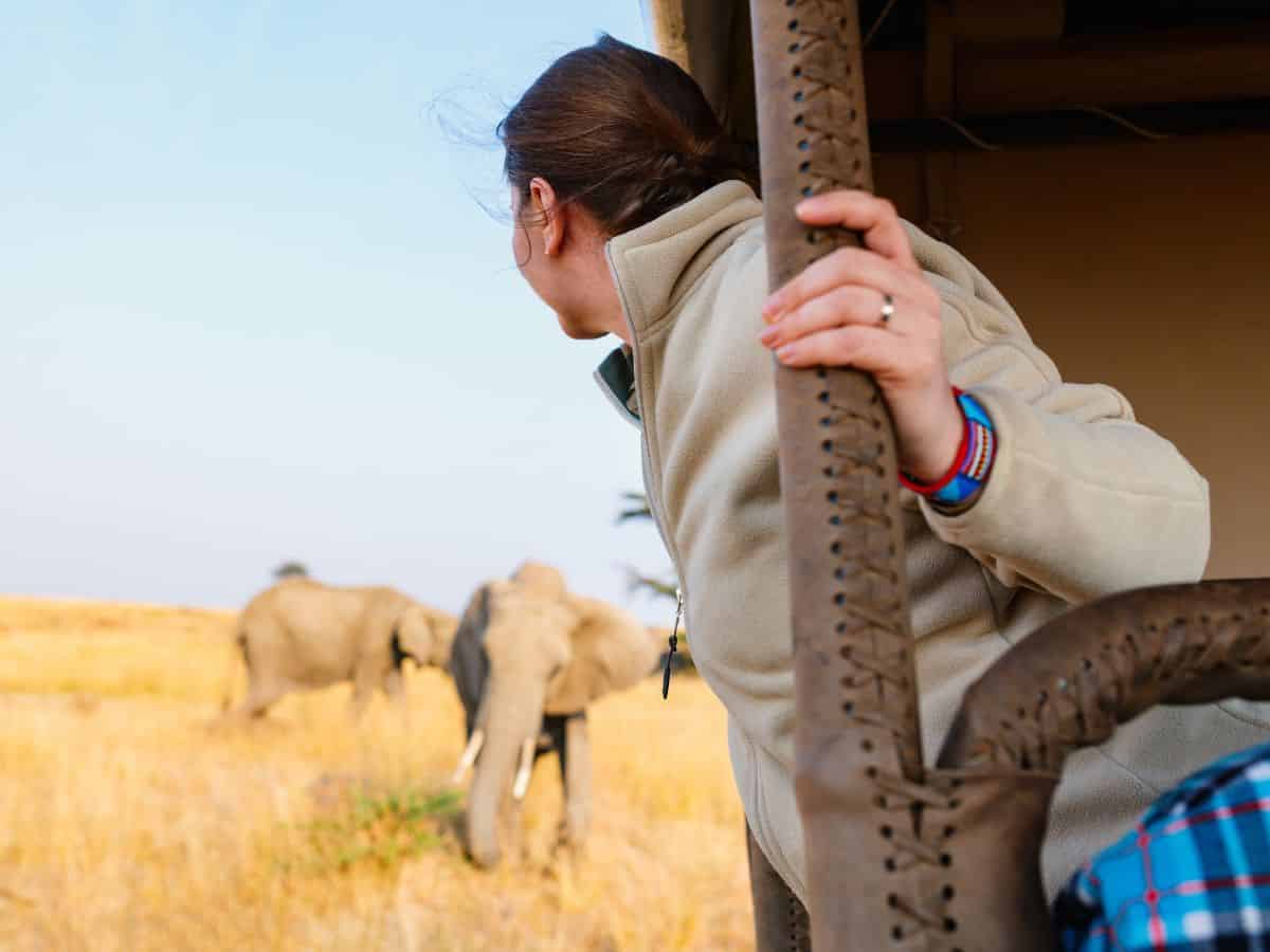 Woman on safari looking out jeep at elephants