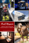 What to expect when you visit the Perot Museum Dallas. This science museum in Dallas Texas is educational and interactive and one of the best things to do with kids in Dallas. Add the Perot Science Museum to your Texas bucket list and go as part of your Texas road trip or Texas vacation. #dallas #texas #us #usa #travel