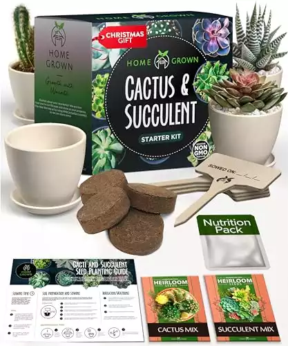 Succulent & Cactus Seed Kit for Planting [Enthusiasts Favorites] Premium Cactus & Succulent Starter Kit: 4 Planters, Drip Trays, Markers, Seeds Mix, Soil - DIY Gift Kits (Original Edition)