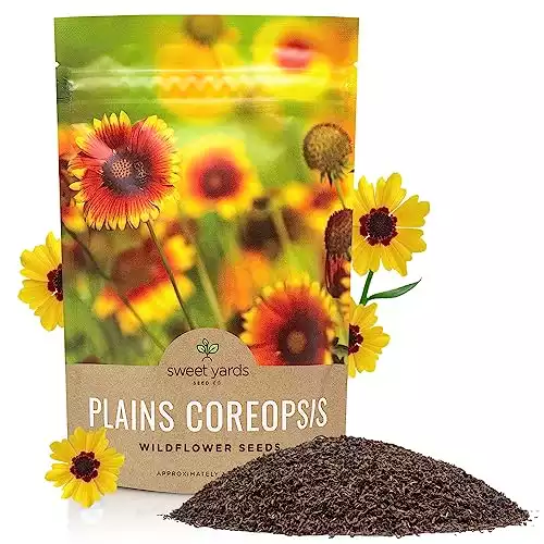 Plains Coreopsis Seeds Native Flowers Bulk Quarter Pound Bag Over 400,000 Open Pollinated Non-GMO Wildflower Seeds Coreopsis tinctorial